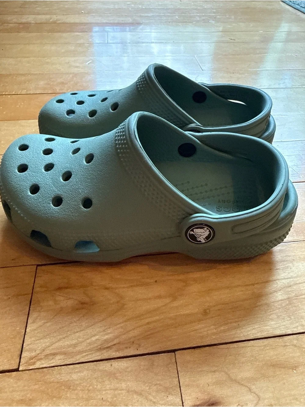 Kids Crocs-Style Clogs in Sage Green